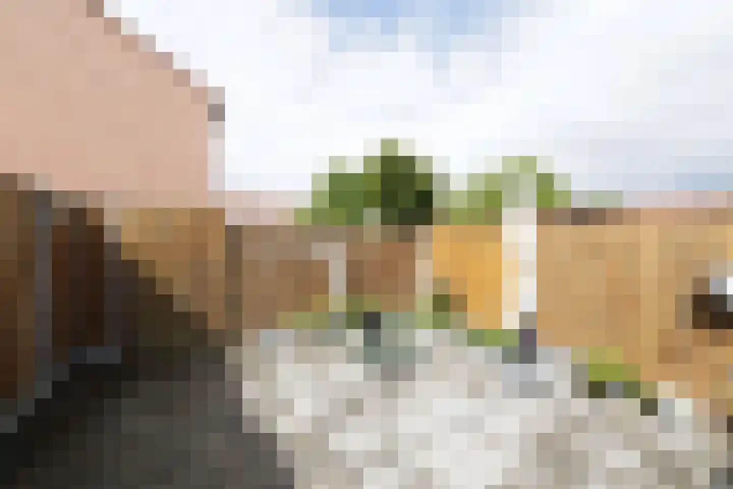 Tongstraat 42 Almere thumbnail 42