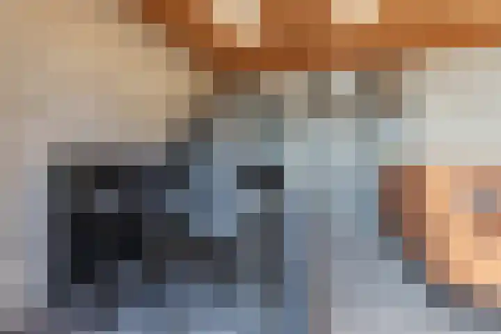 Toniesplein 27 Nistelrode thumbnail 12