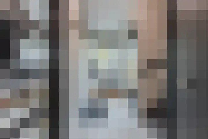 Toniesplein 27 Nistelrode thumbnail 15