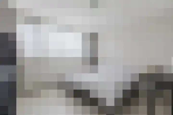 Toniesplein 27 Nistelrode thumbnail 17