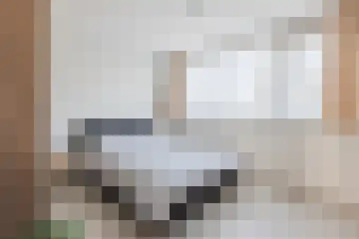 Toniesplein 27 Nistelrode thumbnail 20
