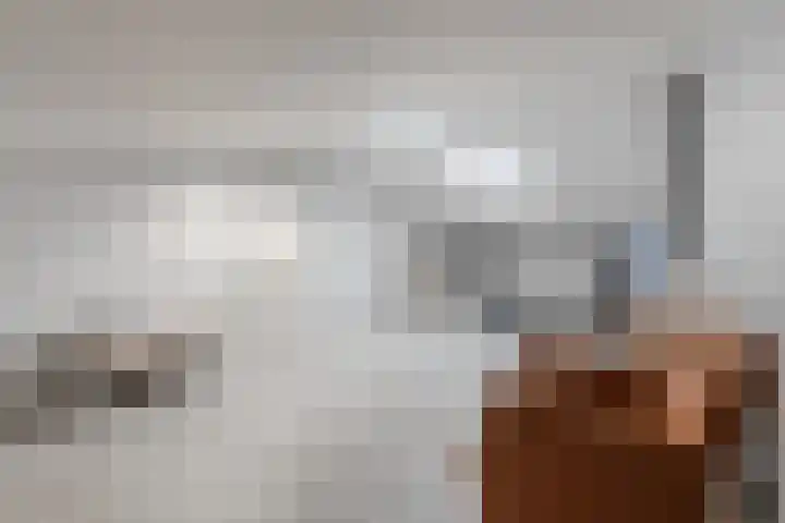 Toniesplein 27 Nistelrode thumbnail 31