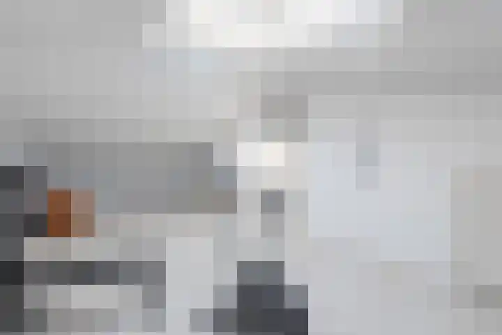 Toniesplein 27 Nistelrode thumbnail 33