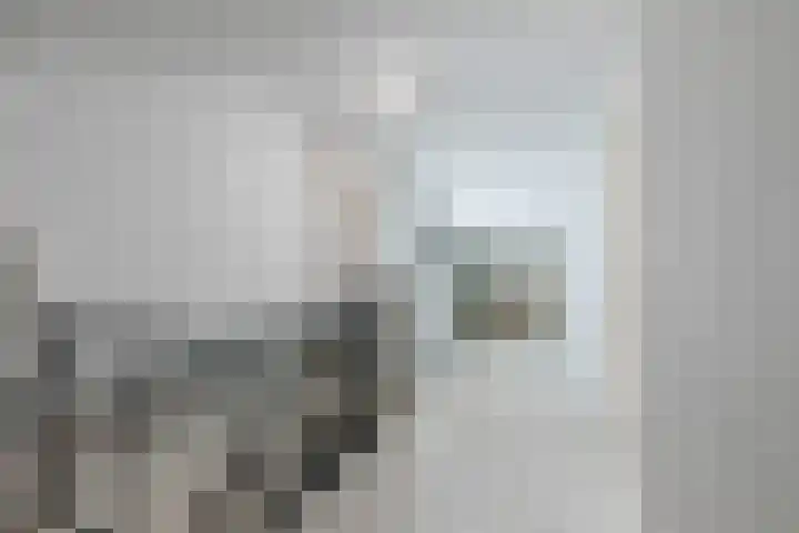 Toniesplein 27 Nistelrode thumbnail 34