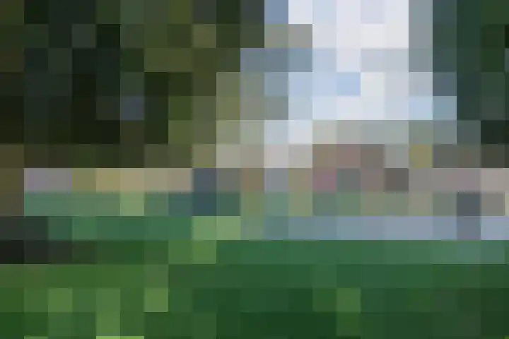 Toniesplein 27 Nistelrode thumbnail 41