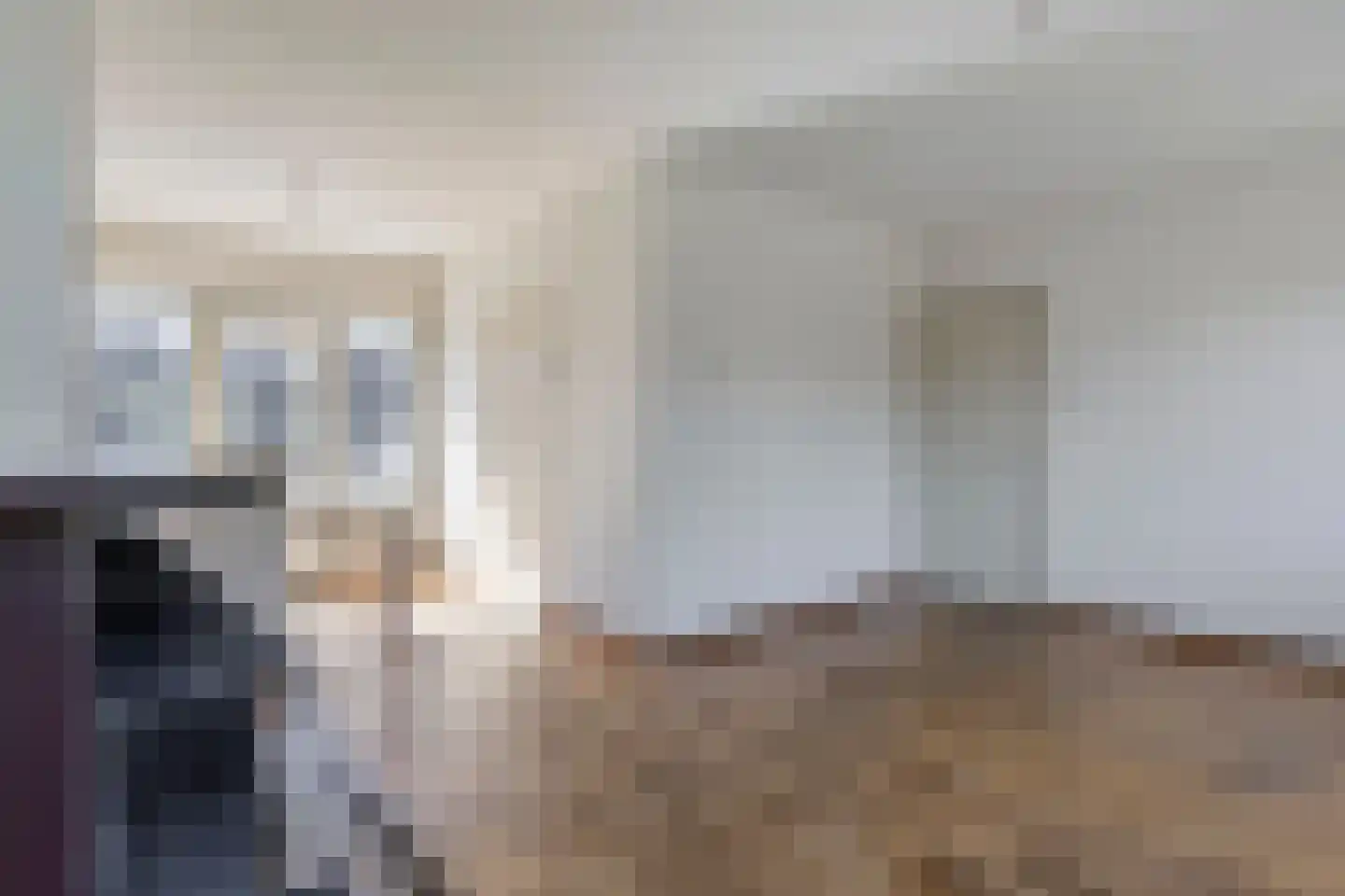 Toniesplein 9 a Nistelrode thumbnail 10