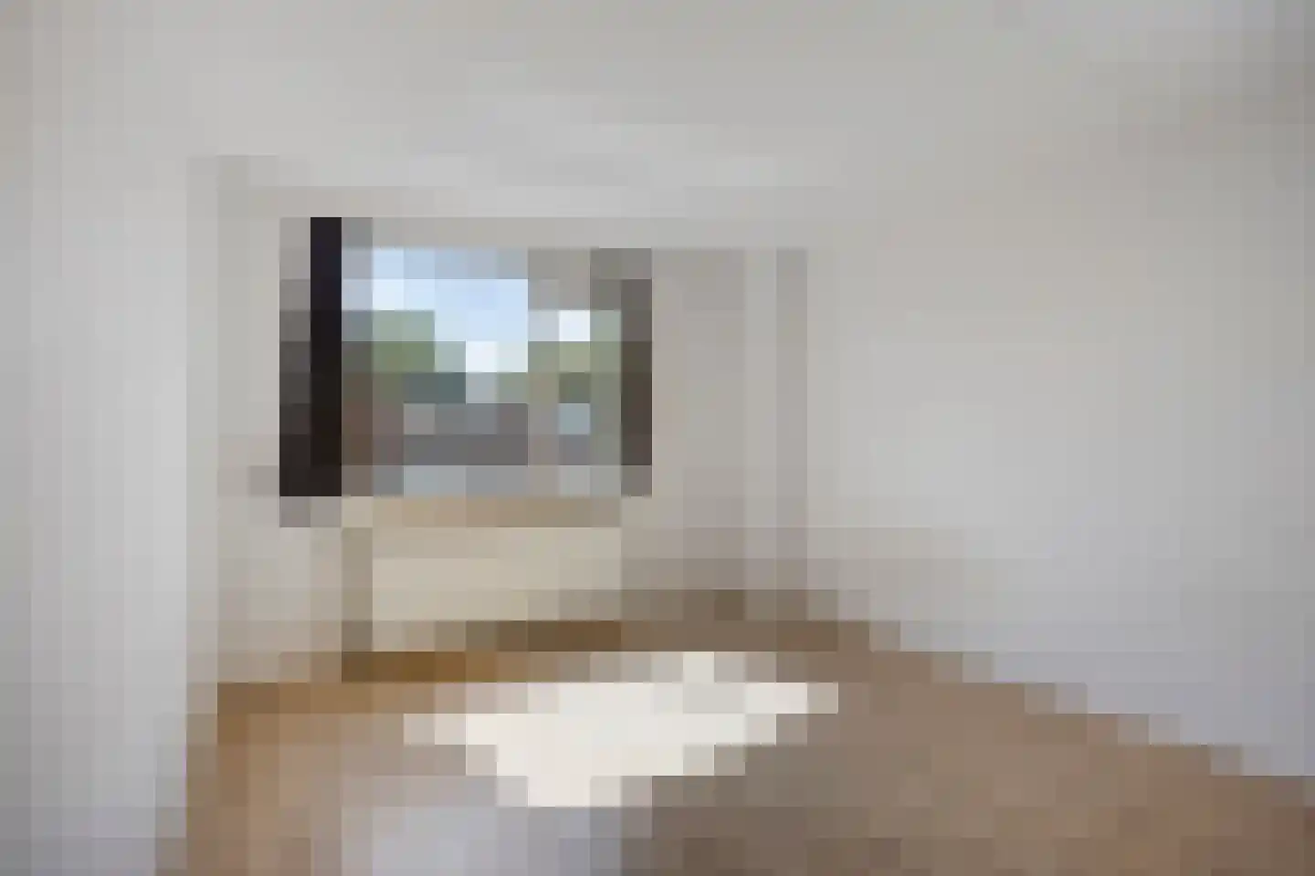 Tonijnstraat 23 Almere thumbnail 22