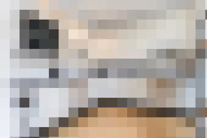 Tonissenlaan 11 Ugchelen thumbnail 12