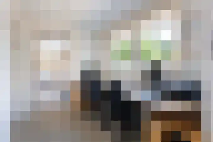Tonissenlaan 11 Ugchelen thumbnail 15