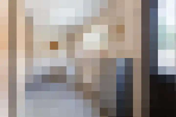 Tonissenlaan 11 Ugchelen thumbnail 16