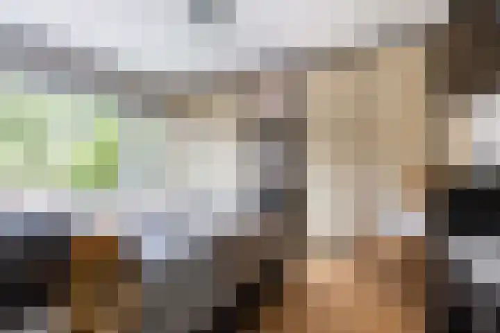 Tonissenlaan 11 Ugchelen thumbnail 19