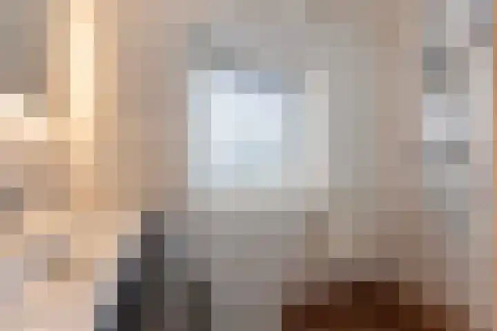 Tonissenlaan 11 Ugchelen thumbnail 24