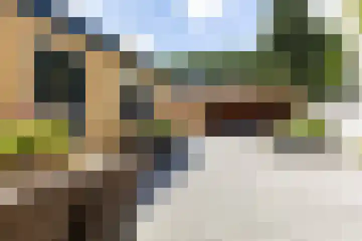 Tonissenlaan 11 Ugchelen foto 3