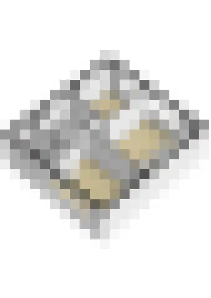 Tonissenlaan 11 Ugchelen thumbnail 37