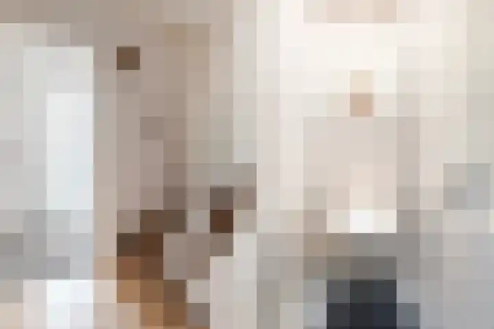 Tonissenlaan 11 Ugchelen thumbnail 7