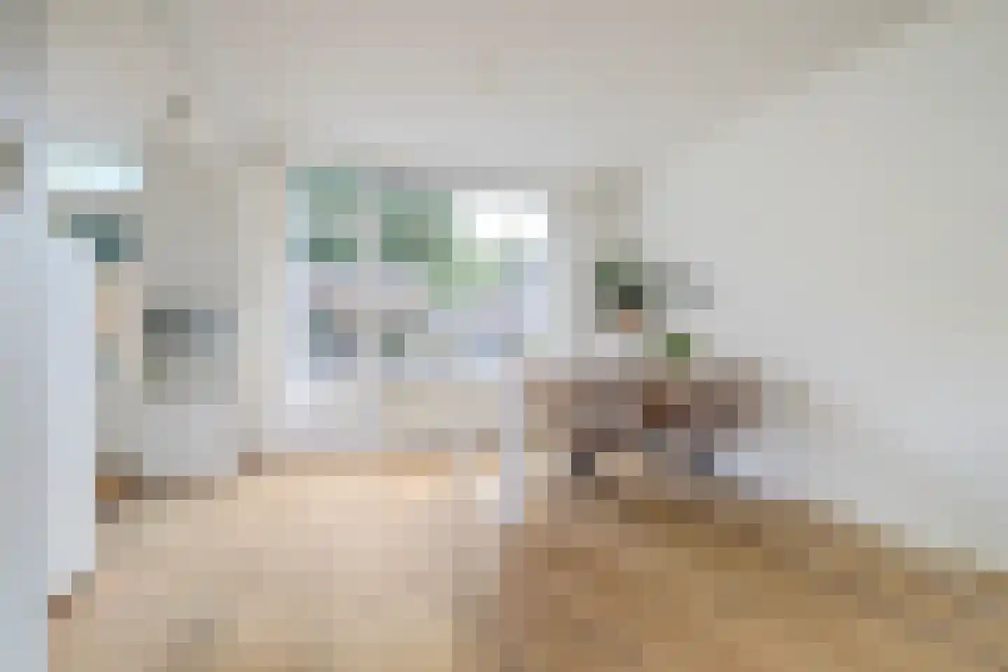 Tonissenlaan 14 Ugchelen thumbnail 12