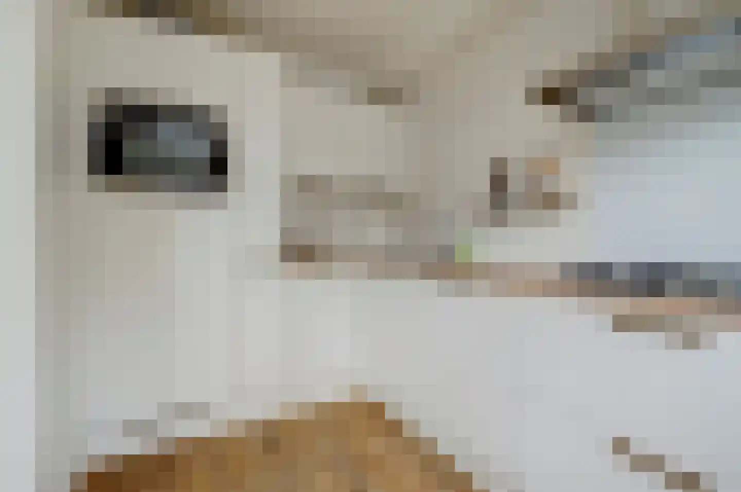 Tonissenlaan 14 Ugchelen thumbnail 18