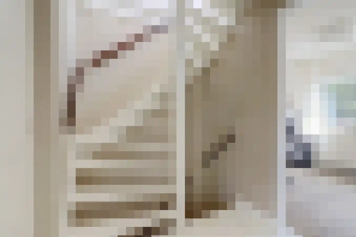 Tonissenlaan 14 Ugchelen thumbnail 21