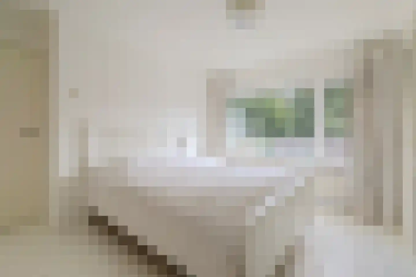 Tonissenlaan 14 Ugchelen thumbnail 22