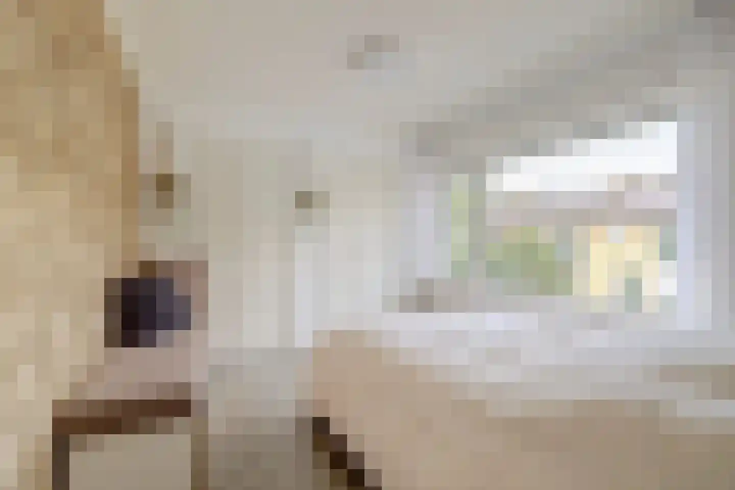 Tonissenlaan 14 Ugchelen thumbnail 25
