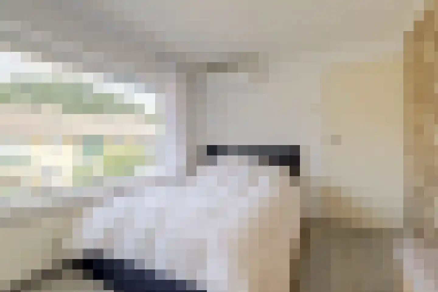 Tonissenlaan 14 Ugchelen thumbnail 26