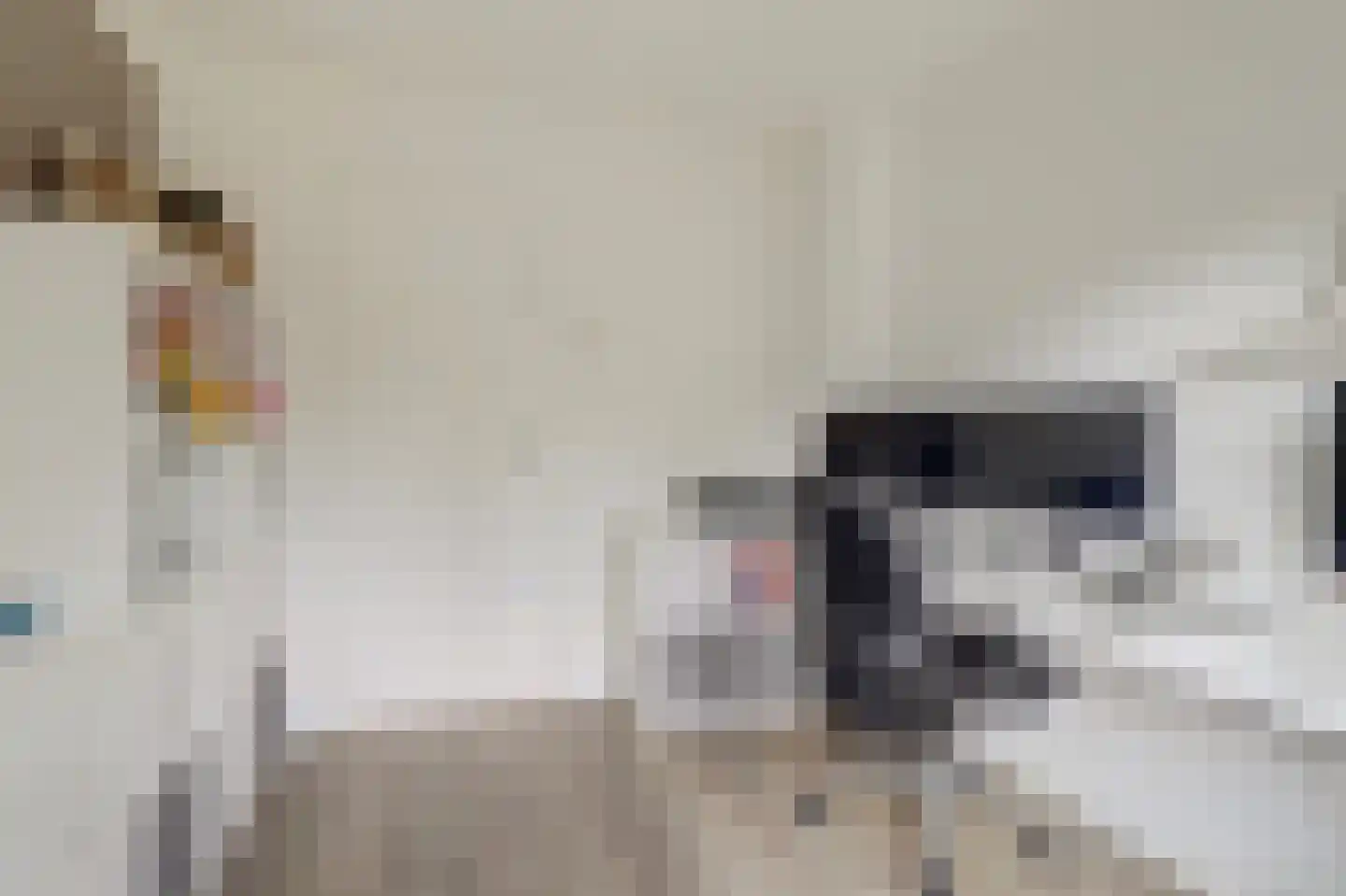 Tonissenlaan 14 Ugchelen thumbnail 28