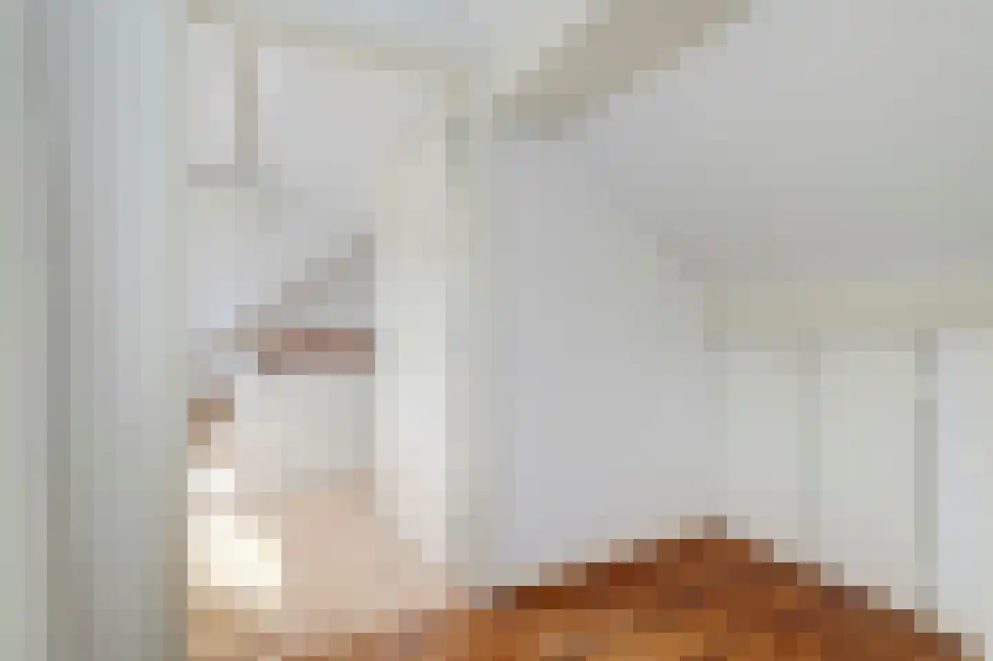 Tonissenlaan 14 Ugchelen thumbnail 35