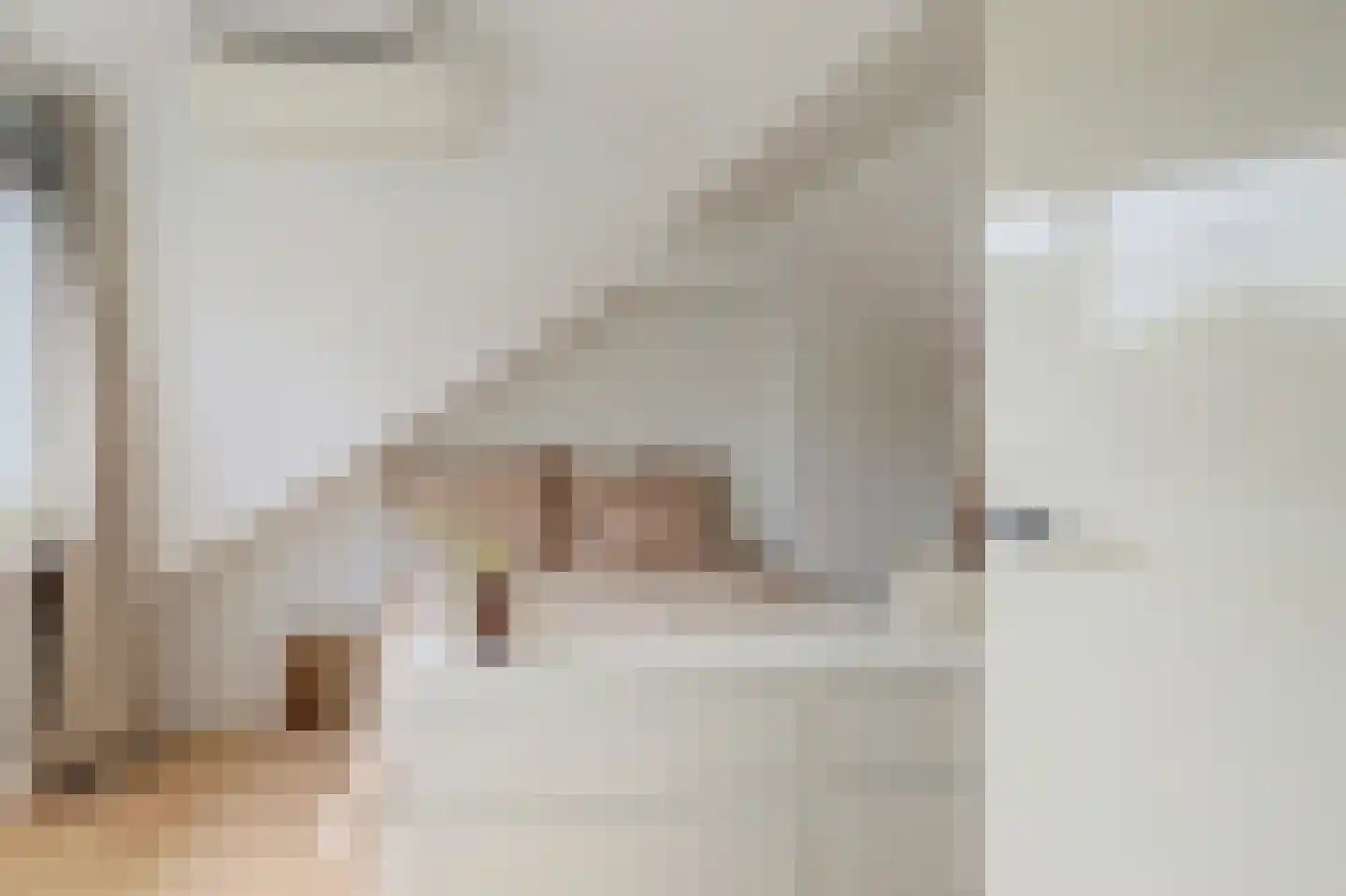 Tonissenlaan 14 Ugchelen thumbnail 36