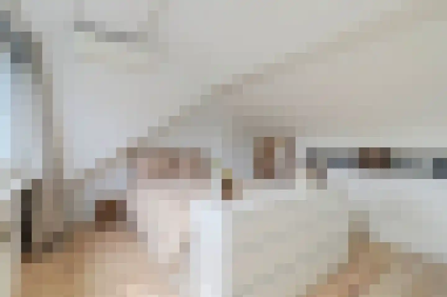 Tonissenlaan 14 Ugchelen thumbnail 37