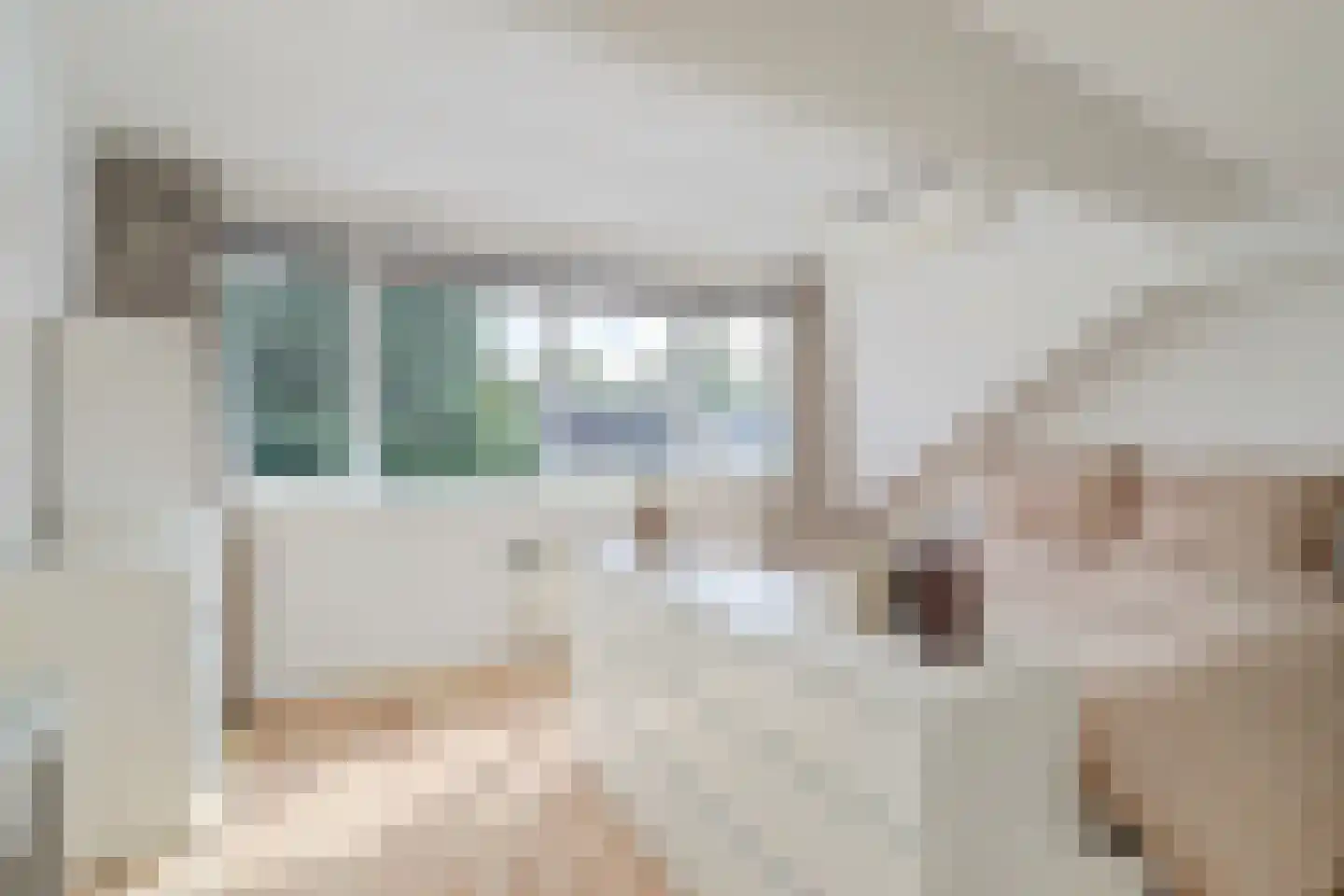 Tonissenlaan 14 Ugchelen thumbnail 39