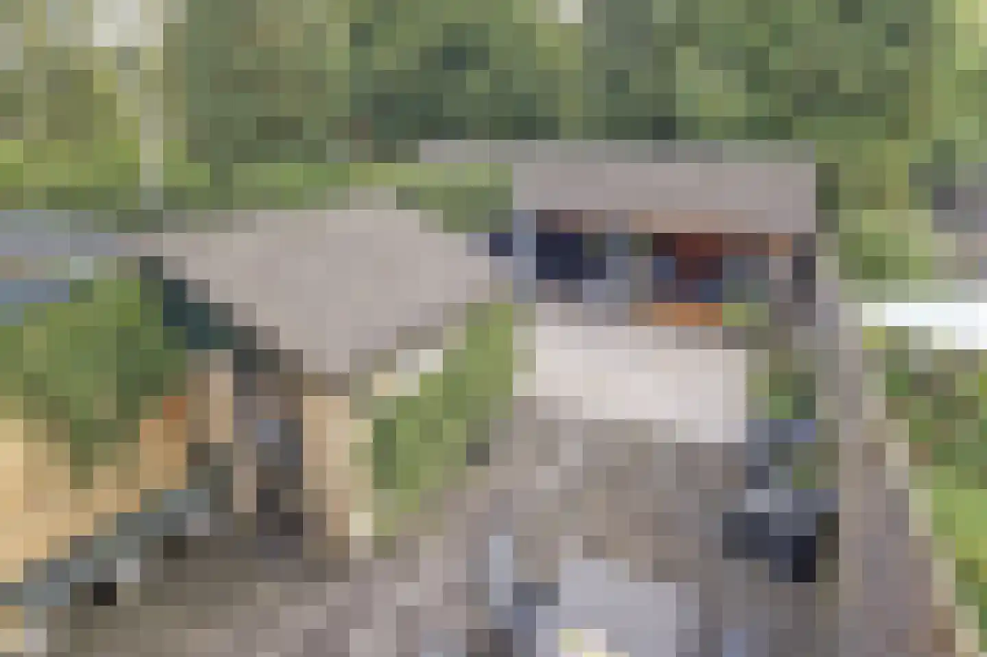 Tonissenlaan 14 Ugchelen thumbnail 40
