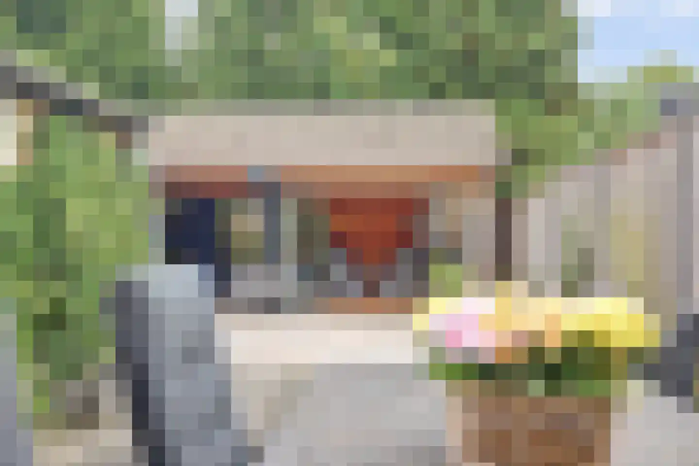 Tonissenlaan 14 Ugchelen thumbnail 43