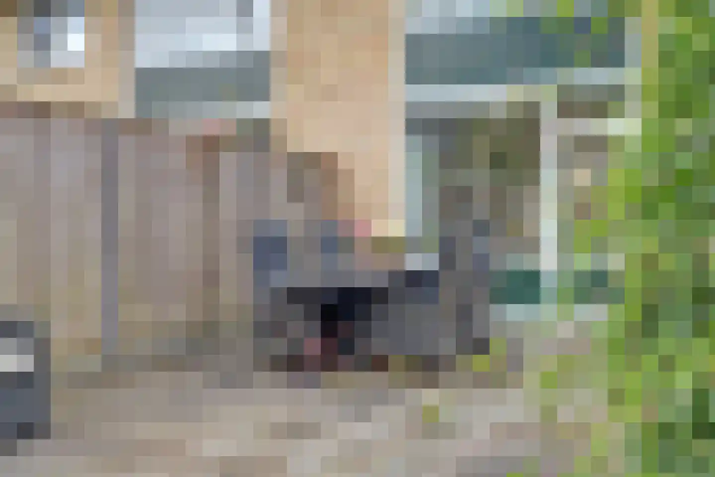 Tonissenlaan 14 Ugchelen thumbnail 49