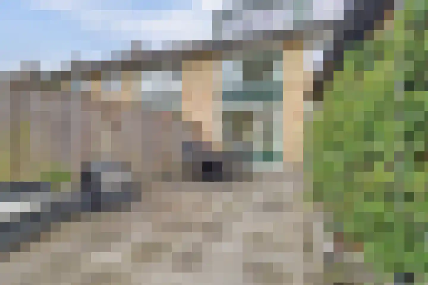 Tonissenlaan 14 Ugchelen thumbnail 51