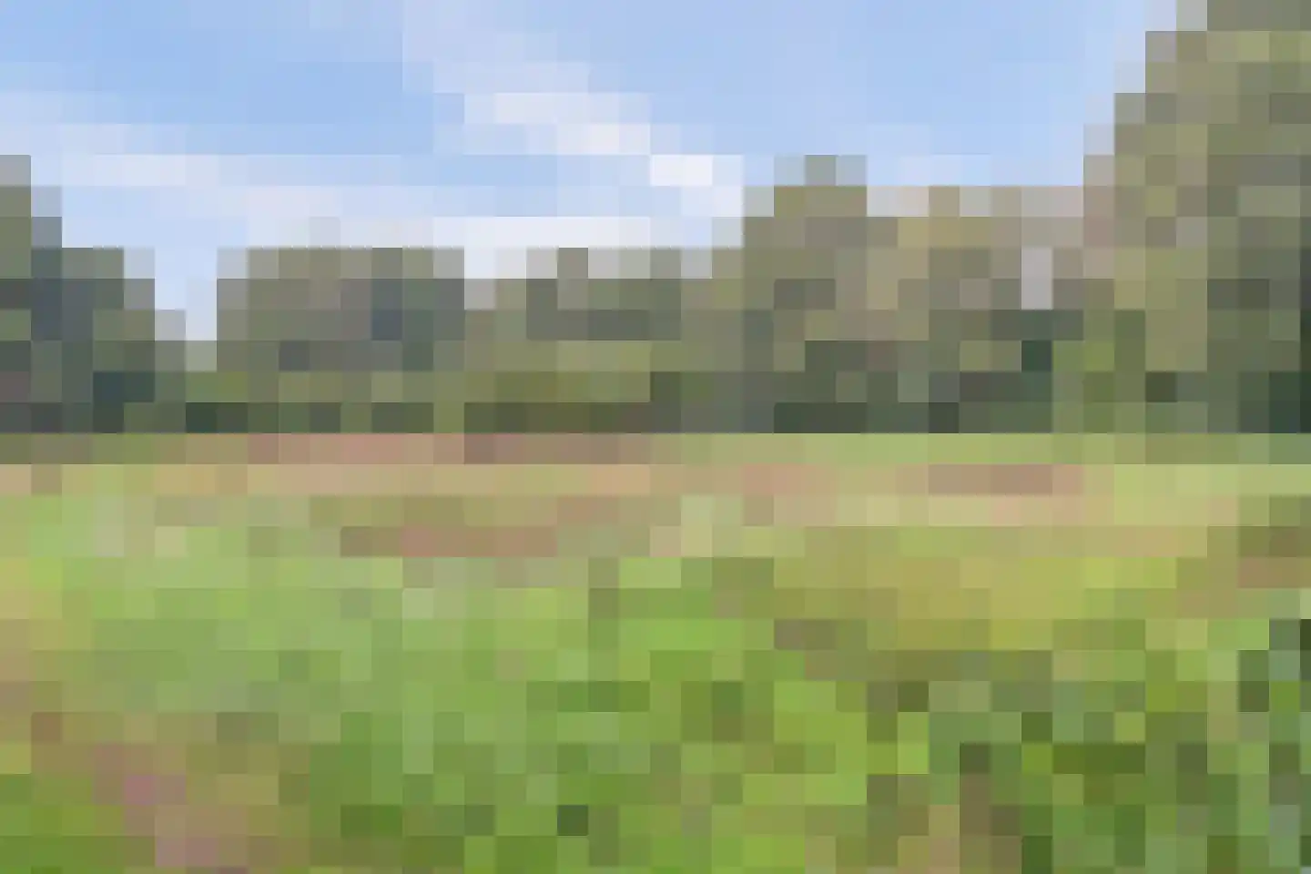 Tonissenlaan 14 Ugchelen thumbnail 53