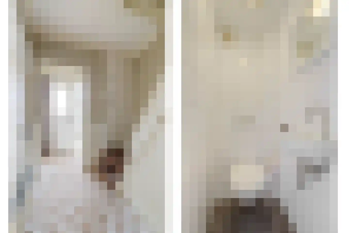 Tonissenlaan 14 Ugchelen thumbnail 6