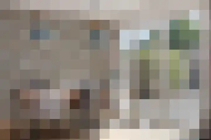 Tonissenlaan 24 Ugchelen thumbnail 17