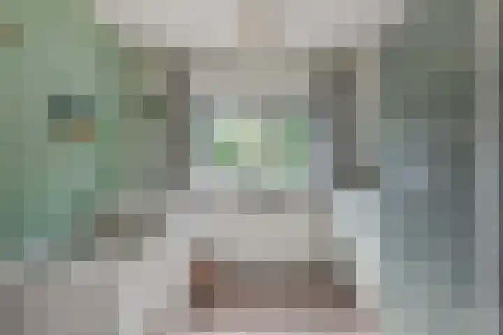 Tonissenlaan 24 Ugchelen thumbnail 23