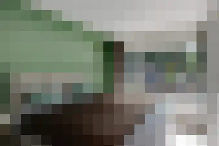 Tonissenlaan 24 Ugchelen thumbnail 24