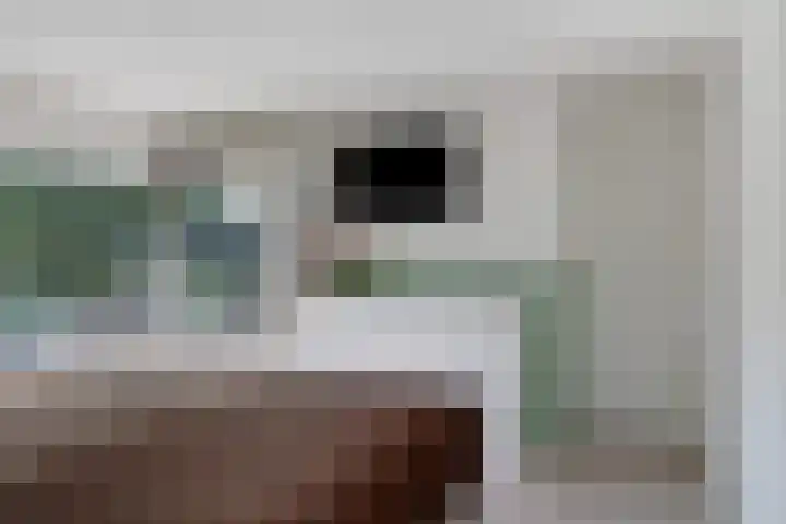 Tonissenlaan 24 Ugchelen thumbnail 25