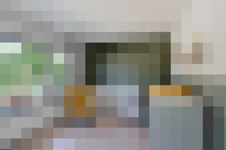 Tonissenlaan 24 Ugchelen thumbnail 26