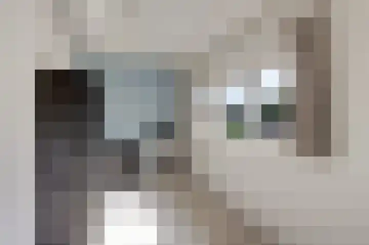 Tonissenlaan 24 Ugchelen thumbnail 33