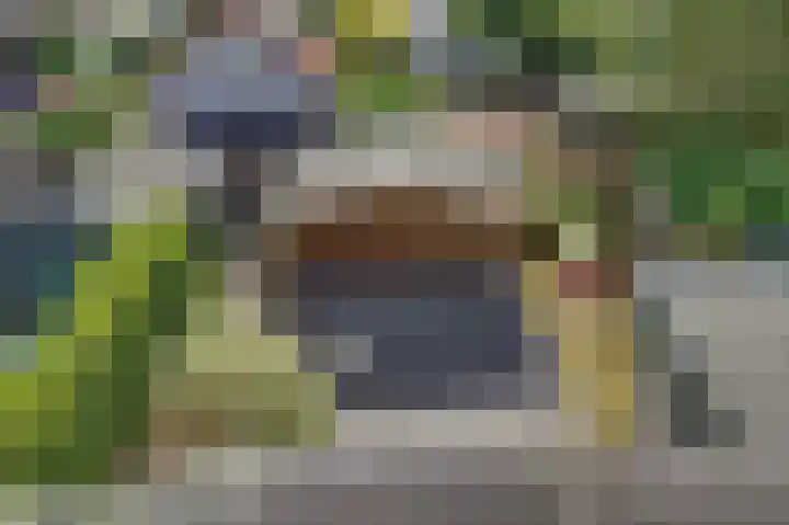 Tonissenlaan 24 Ugchelen thumbnail 34