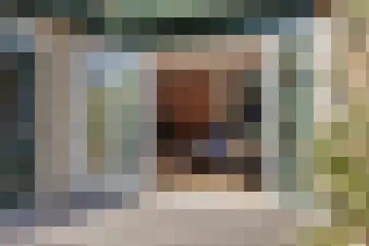 Tonissenlaan 24 Ugchelen thumbnail 41