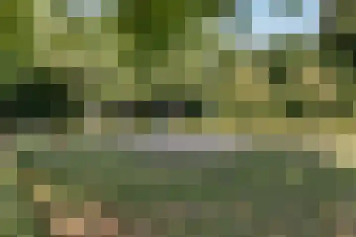Tonissenlaan 24 Ugchelen thumbnail 42
