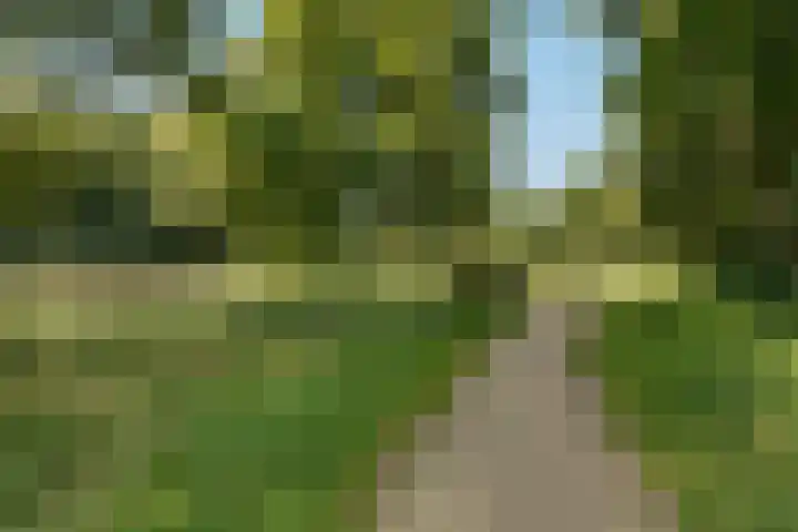 Tonissenlaan 24 Ugchelen thumbnail 43