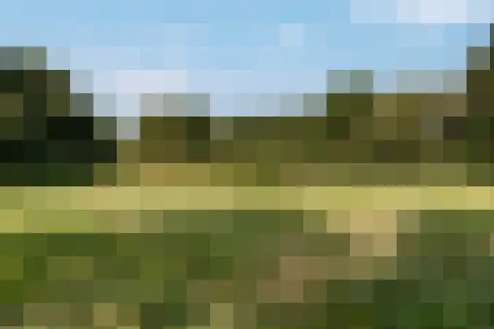 Tonissenlaan 24 Ugchelen thumbnail 44