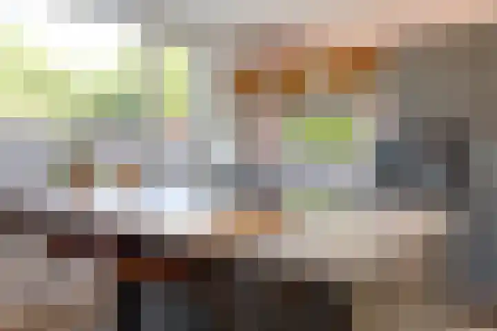 Tonissenlaan 24 Ugchelen thumbnail 8