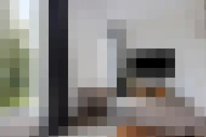 Tonkensstraat 17 Groningen thumbnail 36