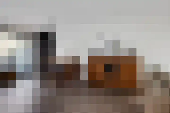 Tonkensstraat 17 Groningen thumbnail 38
